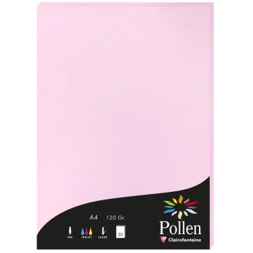 Photo Feuille de couleur Rose dragée 210 x 297 mm A4 POLLEN 4213C