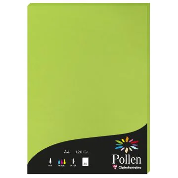 Photo Feuille de couleur Vert menthe 210 x 297 mm A4 POLLEN 4215C