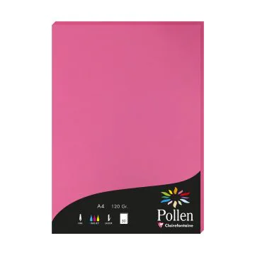Photo Feuille de couleur Rose fuchsia 210 x 297 mm A4 POLLEN 4221C