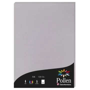 Photo Feuille de couleur Gris koala 210 x 297 mm A4 POLLEN 4232C