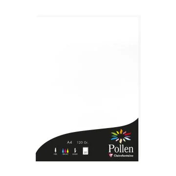 Photo Feuille de couleur Blanc 210 x 297 mm A4 POLLEN 4239C