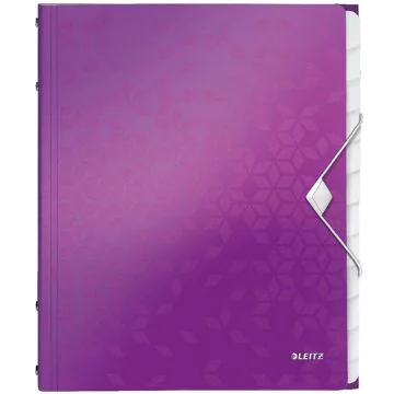 Photo Trieur A4 - 12 compartiments - Violet LEITZ Wow