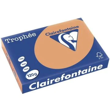 Ramette de papier de 250 feuilles A4 120g - Caramel : CLAIREFONTAINE Trophée Image