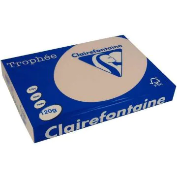 Papier de 250 feuilles A4 120g - Saumon CLAIREFONTAINE Trophée