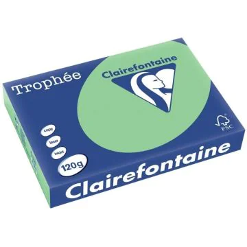 Ramette de papier de 250 feuilles A4 120g - Vert Nature : CLAIREFONTAINE Trophée photo
