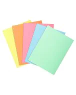 Sous-chemises pour dossier A4 - Assortiment EXACOMPTA 850100E
