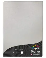Photo Feuille de couleur Argent 210 x 297 mm A4 POLLEN 4199C