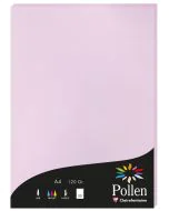 Photo Feuille de couleur Lilas 210 x 297 mm A4 POLLEN 4252C
