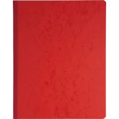 EXACOMPTA 14130E Registre comptable - 13  colonnes  320 x 250 mm  Journal comptable