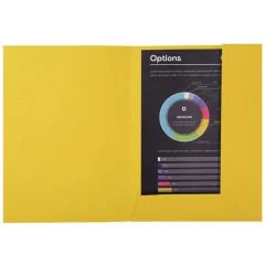 Lot de 50 Chemises à 2 rabats ROCK'S 210 - Jaune citron EXACOMPTA Exemple