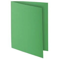 Lot de 10 Chemises pour dossiers A4 ROCK'S 210 - Vert Sapin : EXACOMPTA 