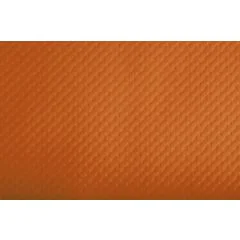 Sets de Table papier - Orange : COGIR Lot de 500 Visuel