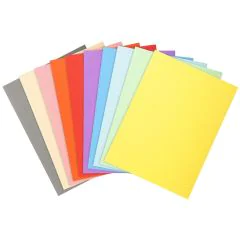 Lot de 50 Chemises pour dossiers - Assortiment EXACOMPTA Forever 170 Modèle