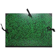 Carton à Dessin B3 et 1/2 raisin - Vert : EXACOMPTA Visuel