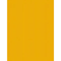 Carton de Bricolage A4 - Jaune foncé - 300 g/m² : FOLIA Lot de 50 Visuel