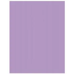 Carton de Bricolage A4 - Violet - 300 g/m² : FOLIA Lot de 50 Visuel