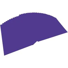 Carton de Bricolage A4 - Violet Foncé - 300 g/m² : FOLIA Lot de 50 Visuel