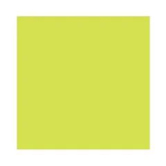 Carton de Bricolage 500 x 700 mm - Limon - 300 g/m² : FOLIA Lot de 10