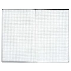 Registre 600 pages quadrillées 340 x 225 mm LE DAUPHIN VS