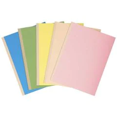 Chemises à soufflet - Assortiment : EXACOMPTA Forever Lot de 10 Image