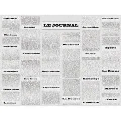 Sets de Table Restaurant - Motif Journal COGIR Lot de 400