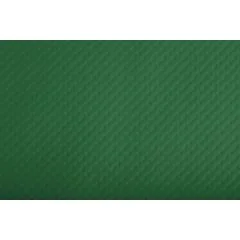 Lot de 500 Sets de Table papier - Vert sapin : COGIR Visuel