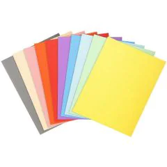 Photo Chemises A4 pour dossiers - Assortiment EXACOMPTA Forever 170
