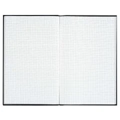 Photo Image Registre 300 pages quadrillées - 340 x 225 mm LE DAUPHIN VS