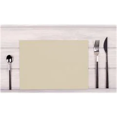Lot de 100 Sets de Table non tissés - Ficelle COGIR Image