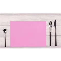 Lot de 100 Sets de Table non tissés - Rose COGIR Modèle