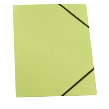 Photo Chemise à élastiques A4 - Vert : ELBA Carte Forte